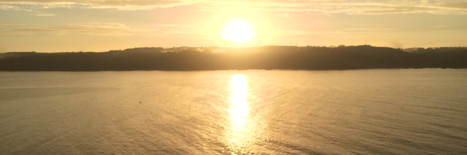 Fabián Romero banner