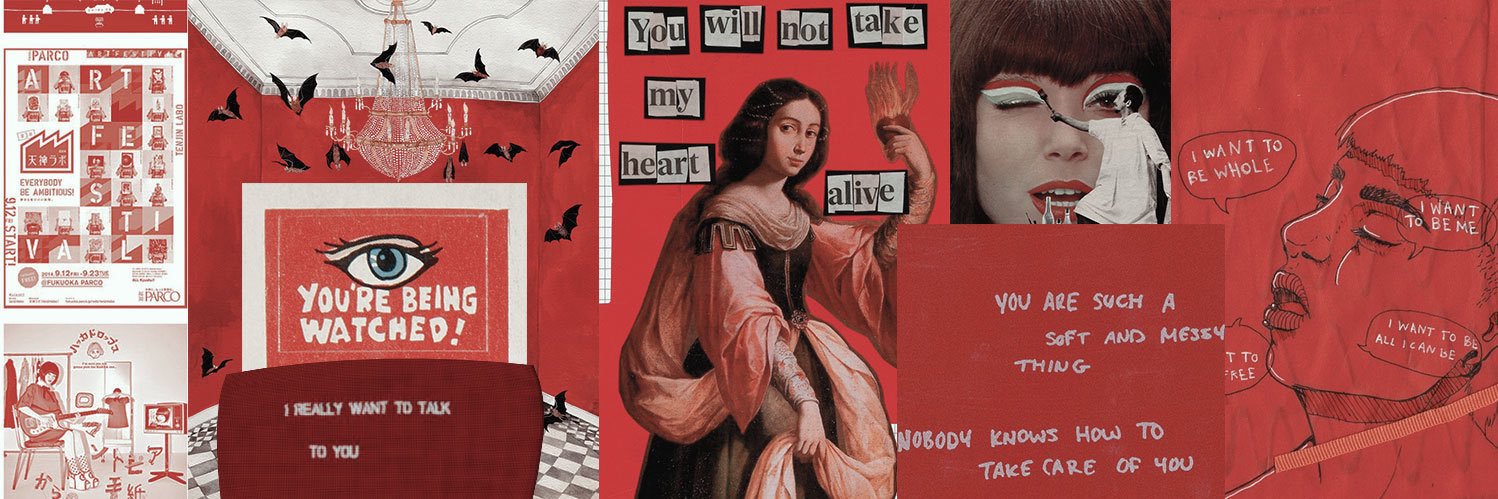 carolicap14's profile banner image
