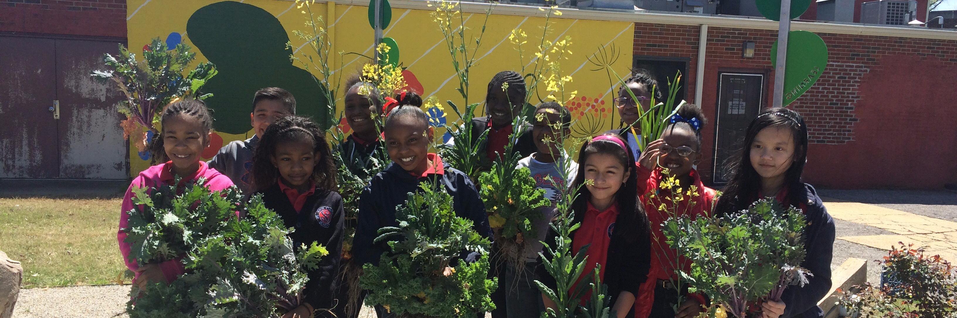 Learning Gardens banner