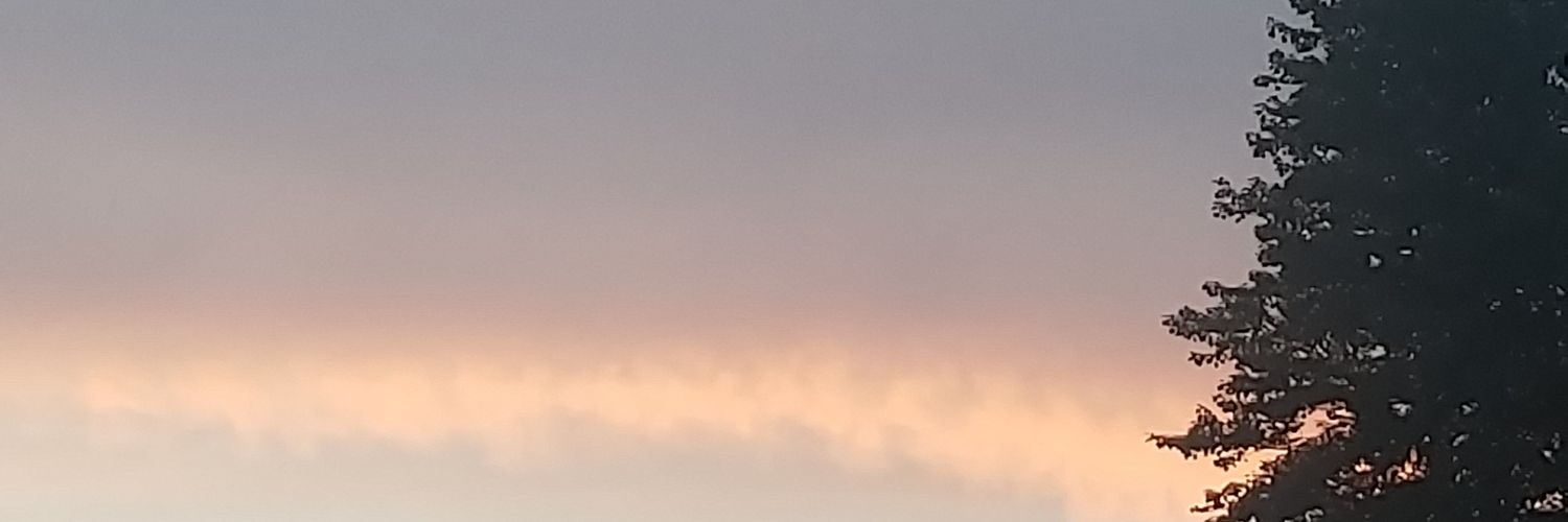 Raychel- 4th gen banner