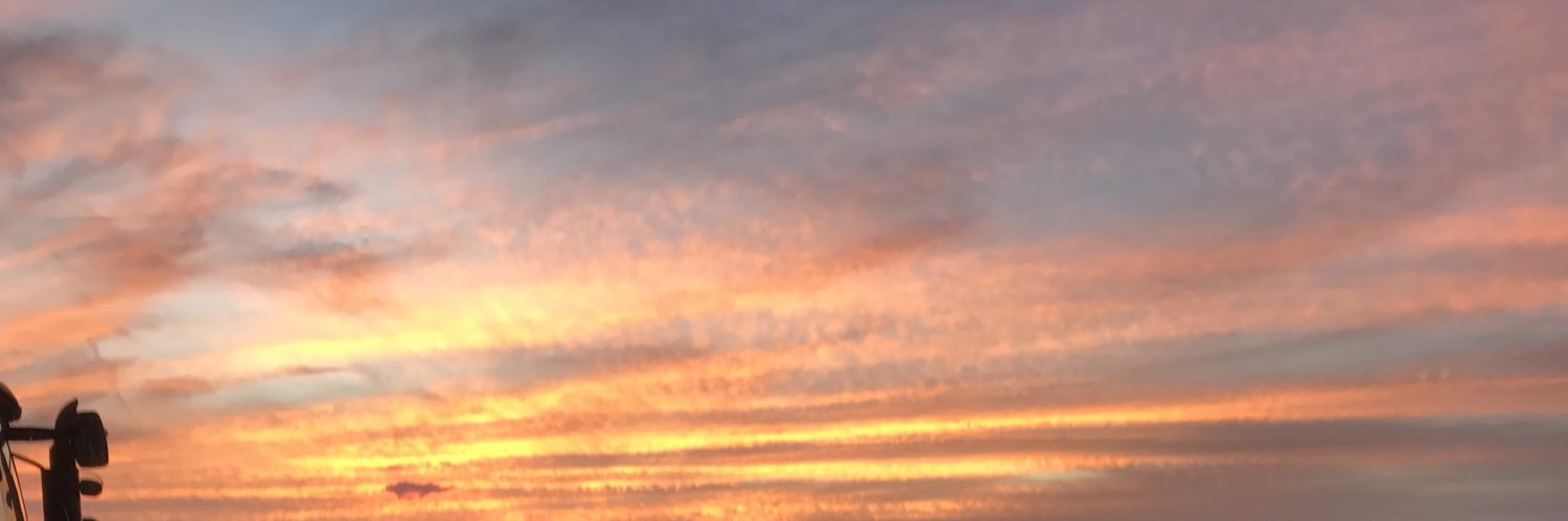 MUKateB's profile banner image