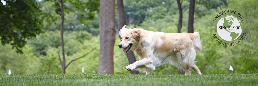 DogWatchFence's profile banner image