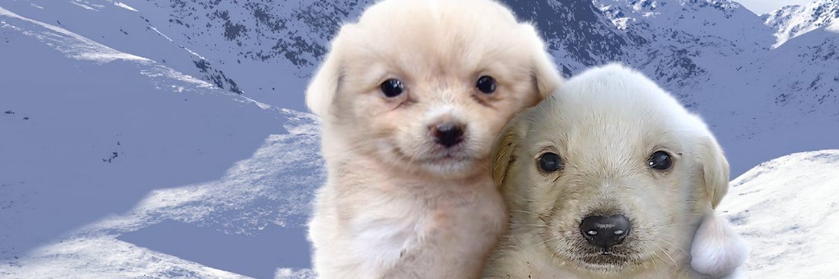 Goodzila2K's profile banner image