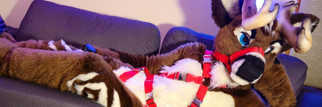 Fraye/Ashton➡️AC banner