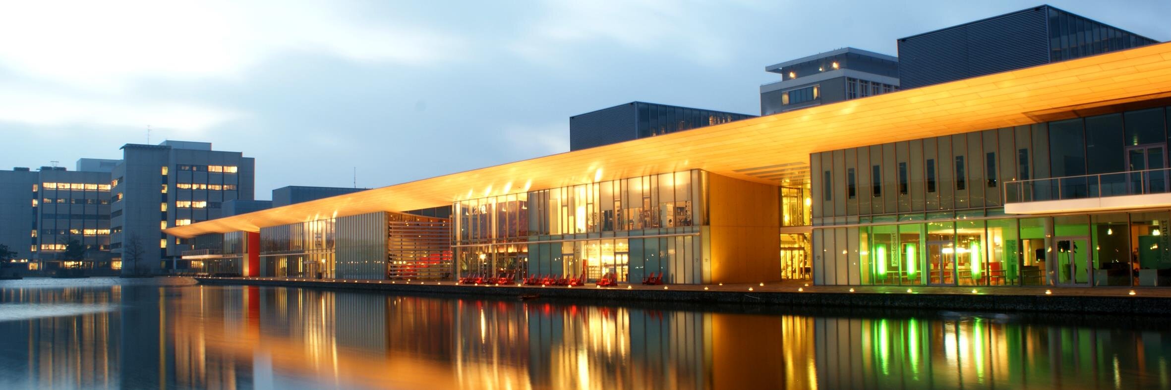 Hilde de Vocht banner