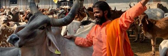 AmitBhai5's profile banner image