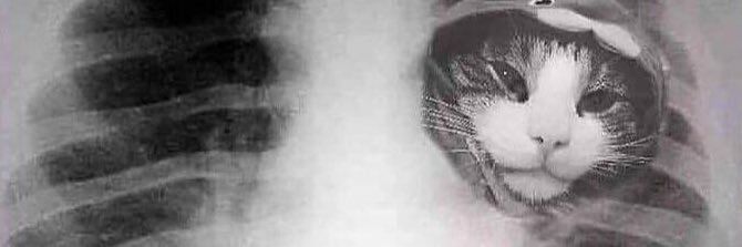 n for noturbusiness banner