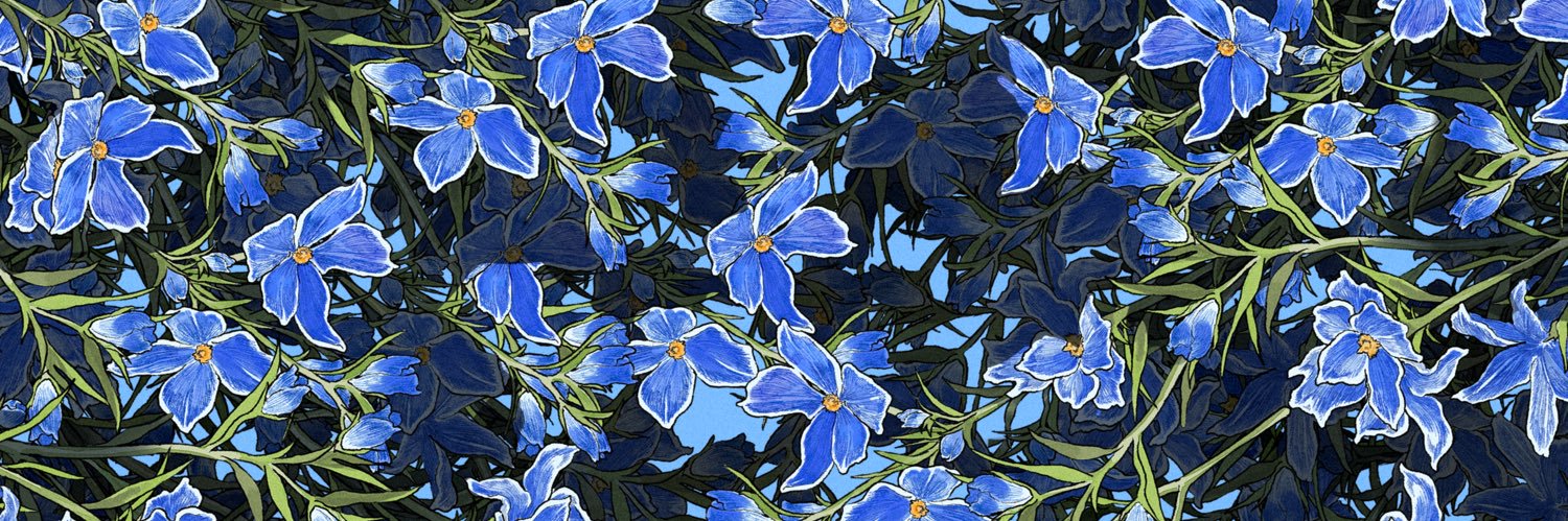 しこしゃ(100日後にフサフサになる男)💙 banner