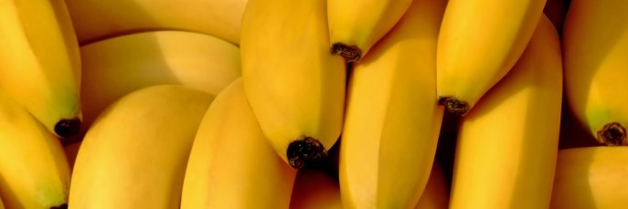 bananofnowhere's profile banner image