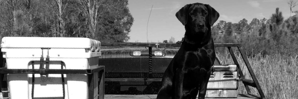 JacksonKoon's profile banner image