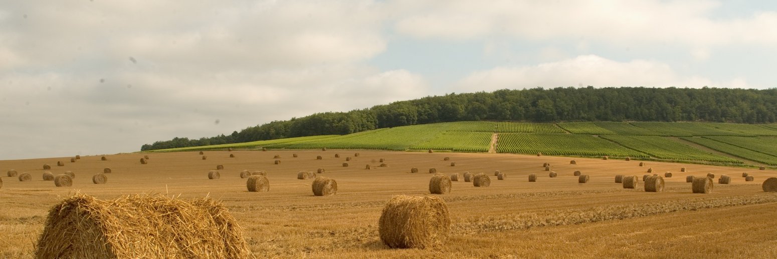 Propriété Privée Rurale Marne banner