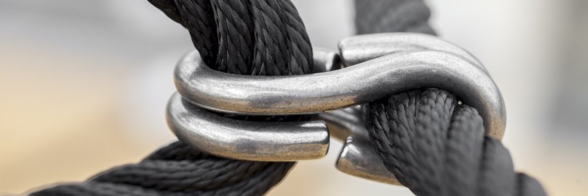 Cluster DiWiSH banner