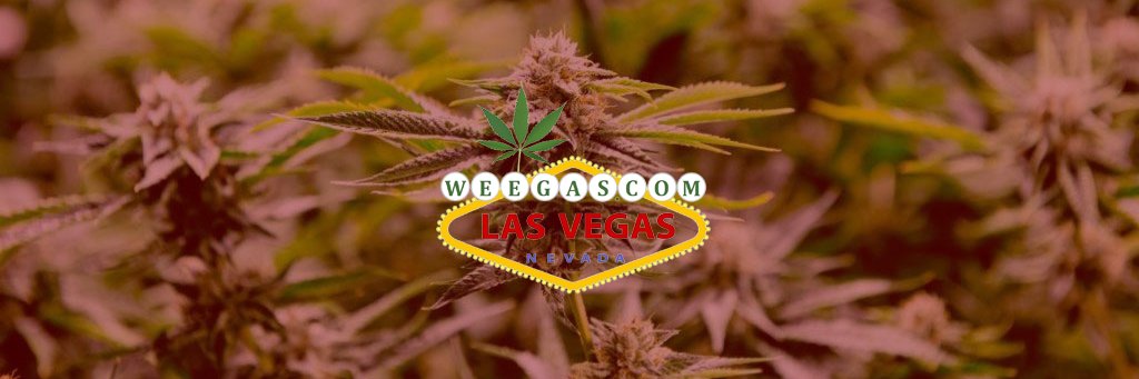 weegasdotcom's profile banner image