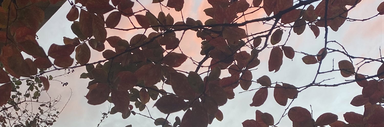 j ü ł ï🔸 banner