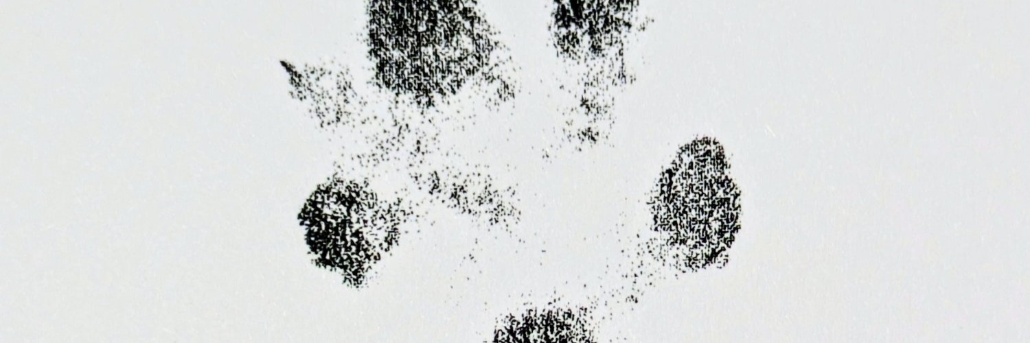 draw_man's profile banner image