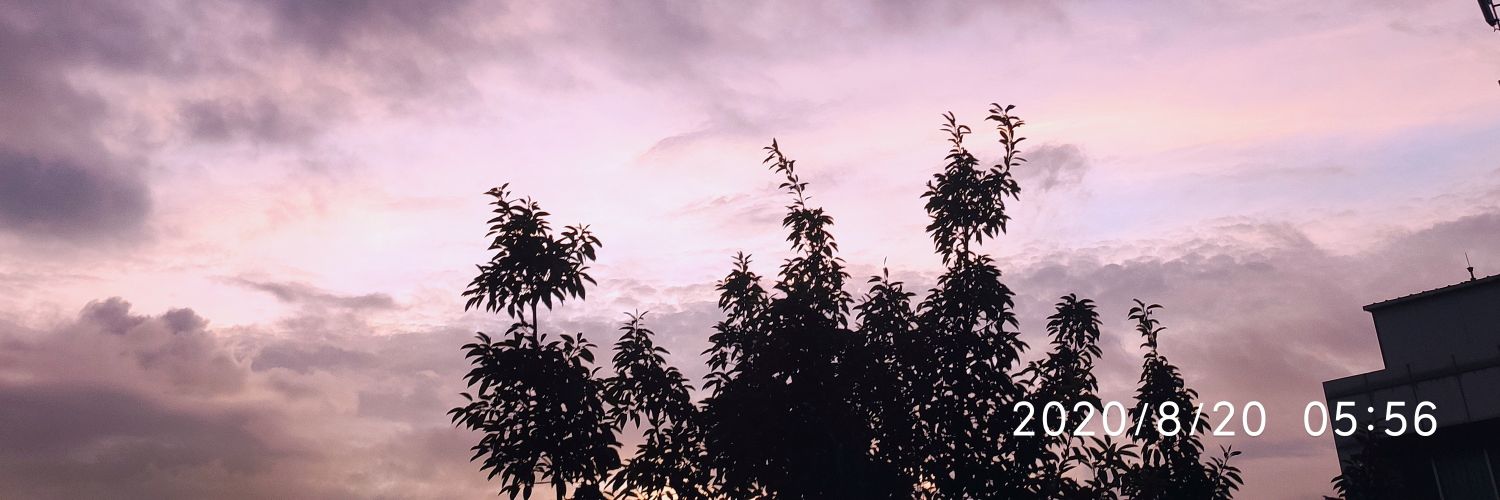 野餐见晴 banner