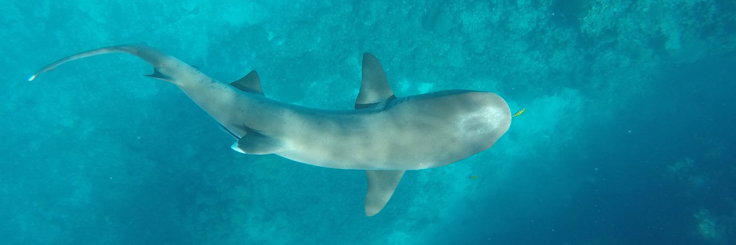 Garrett Schick banner