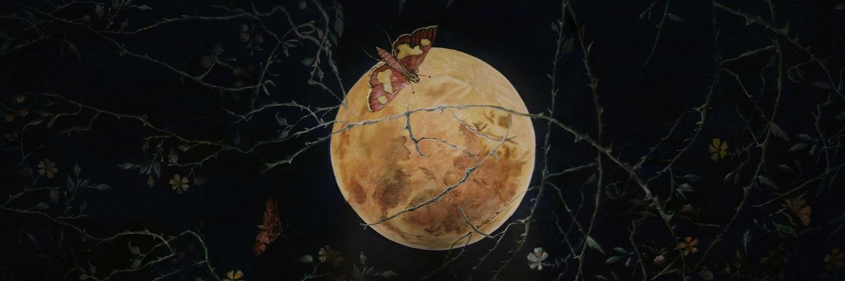 florence welch archive's banner