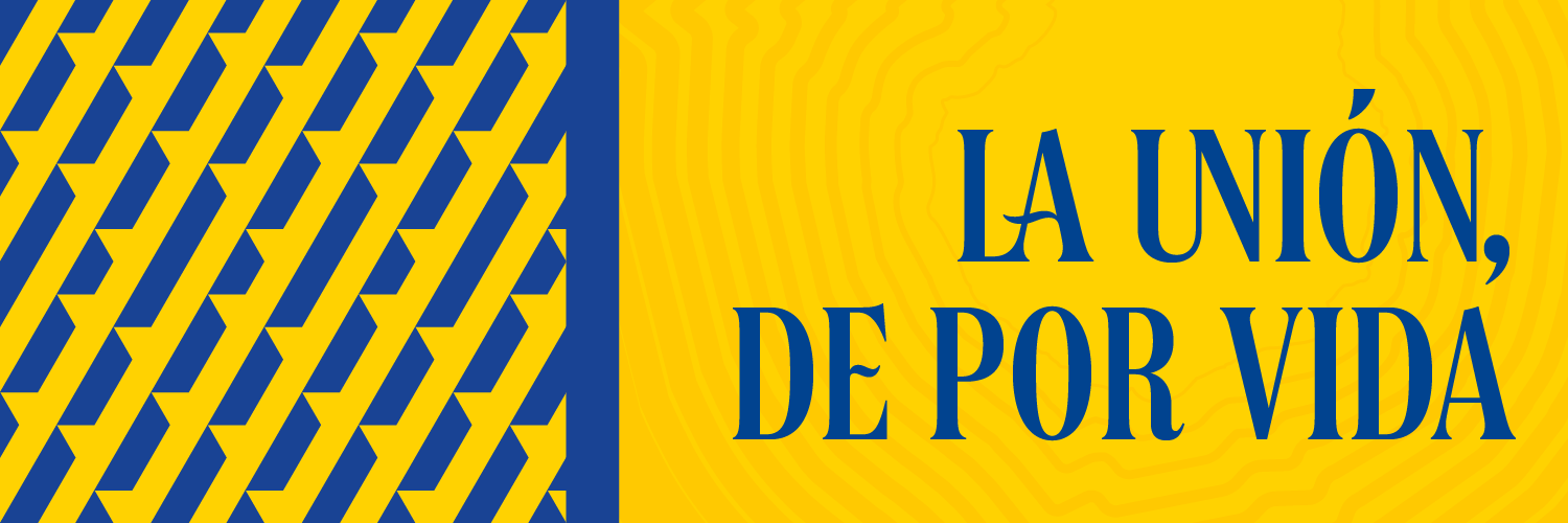UDLP Fundación's banner