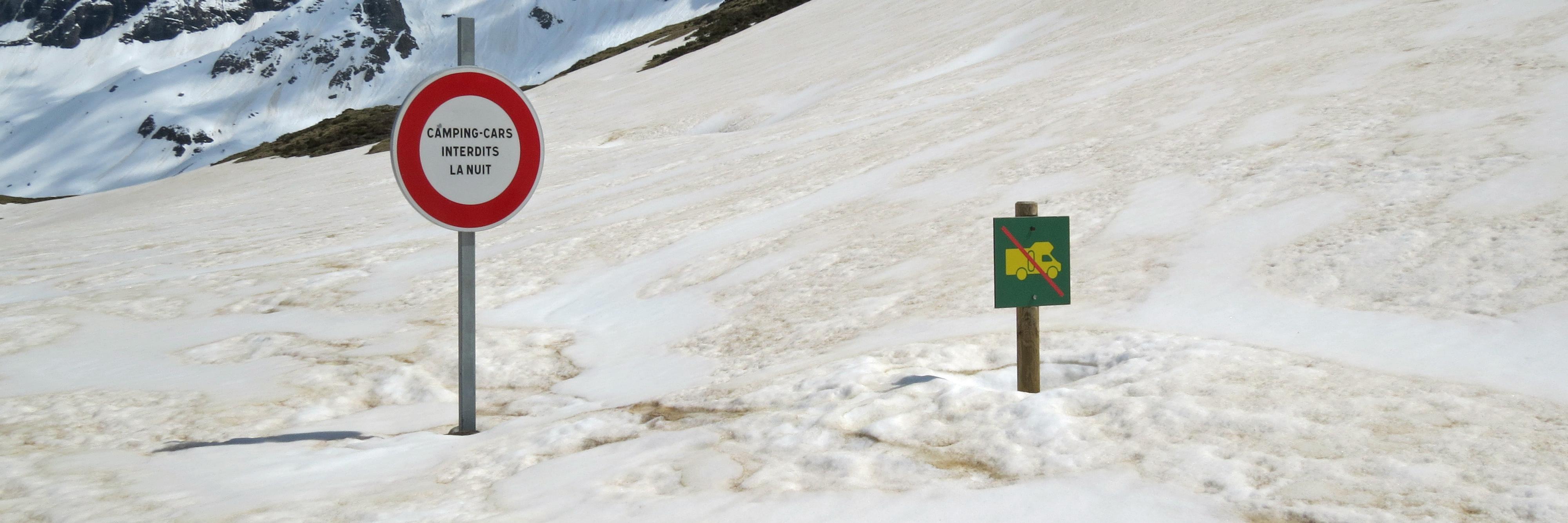 monkeycamm's profile banner image