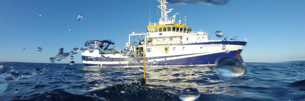 ArgoSpain1 Profile Banner