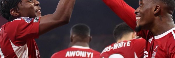 YouAreMyForest Profile Banner