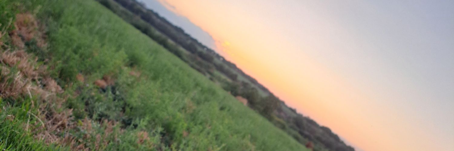 MarcosTorresAv's profile banner image