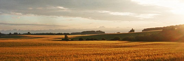LPUF_LV's profile banner image