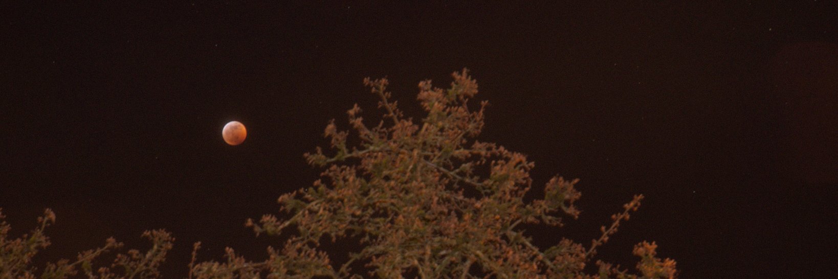 darkonc1's profile banner image