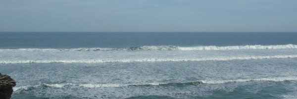 danicemo Profile Banner