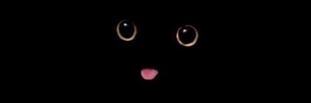 𝖬𝖠𝖸🍀niji banner