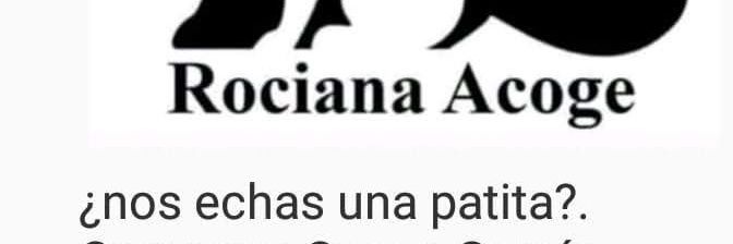 Asociación Protectora de Animales Rociana Acoge banner
