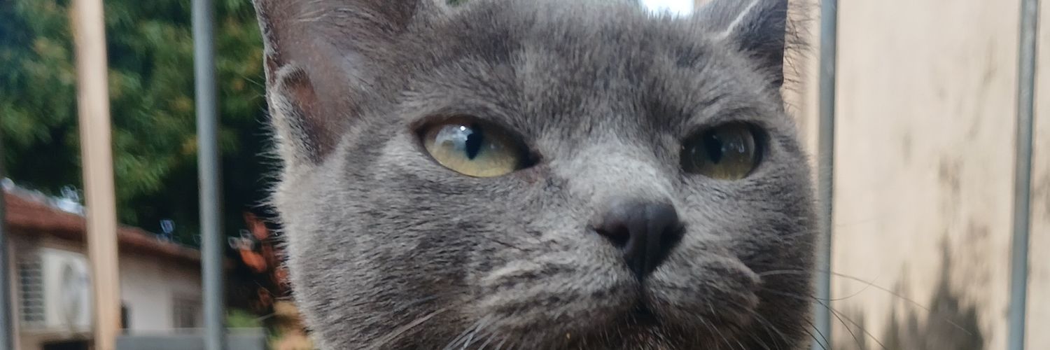 jonhatanmanuell's profile banner image
