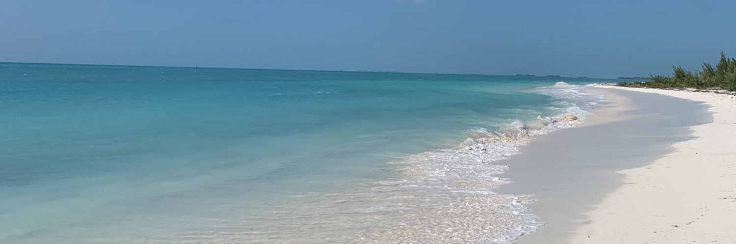 jen_sinclairr's profile banner image