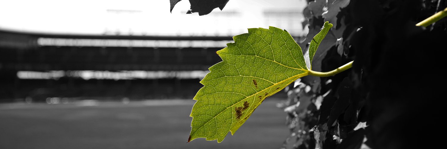 JamesMoodyJr's profile banner image