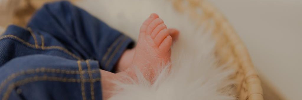 Animalement's profile banner image