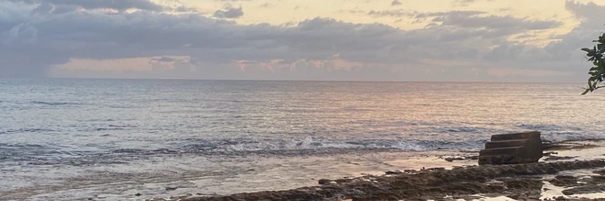 ladiegc's profile banner image