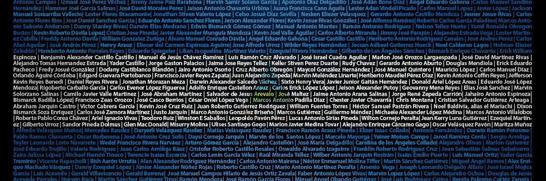 🇳🇮Maria Asuncion Moreno banner