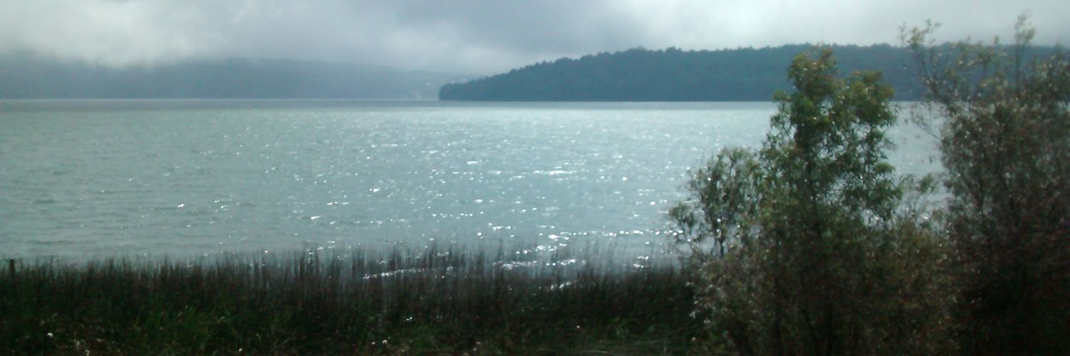 Roberto Palacios G. 🇺🇦🇮🇱🇻🇪 banner