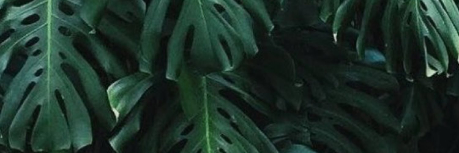 LisbethMartinez's profile banner image
