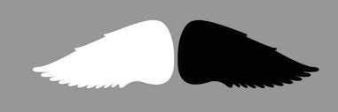 bigotebicolor's profile banner image