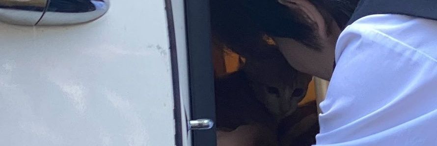 khaaaileee's profile banner image