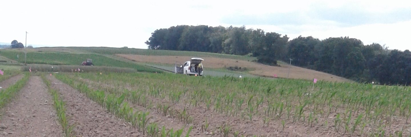 Debasish Saha banner