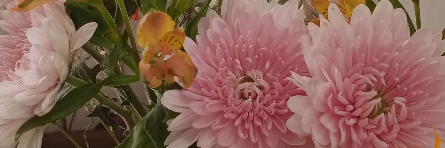 Tindilicious's profile banner image