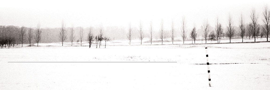 ryan_veith's profile banner image