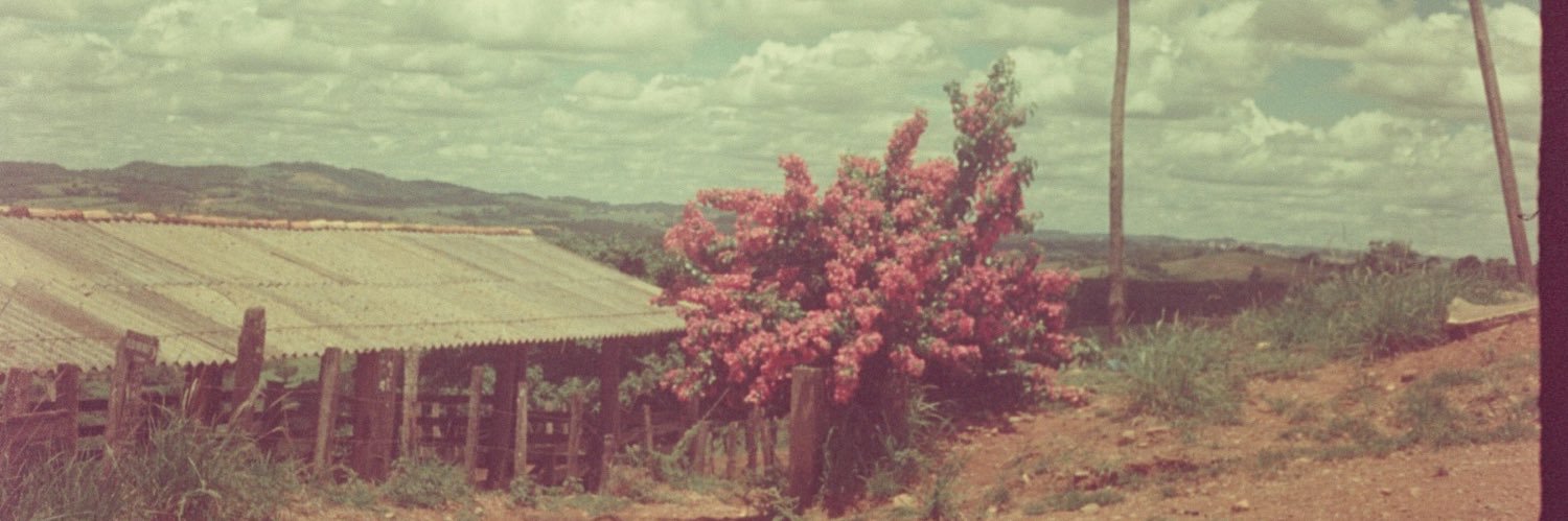 馬麗璐 maria luana banner