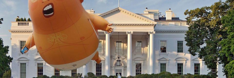 By By Baby Trump banner