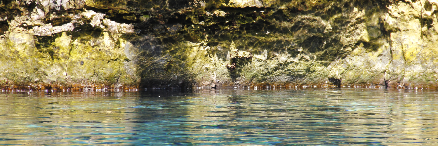 Alexander Alasjö banner