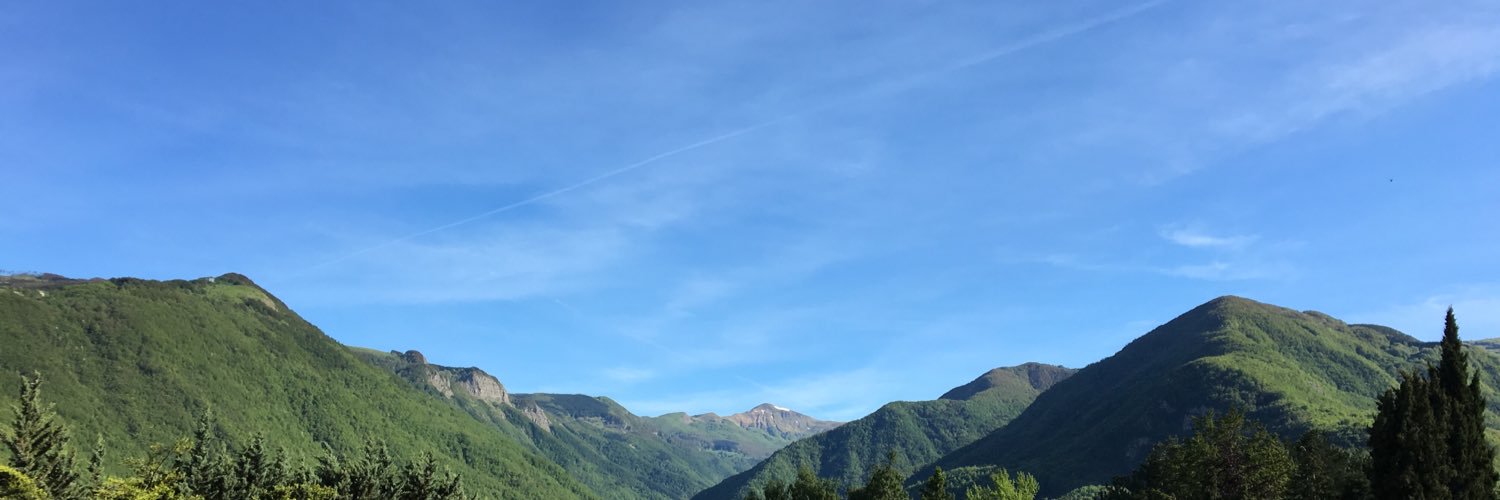 woods_woolf's profile banner image