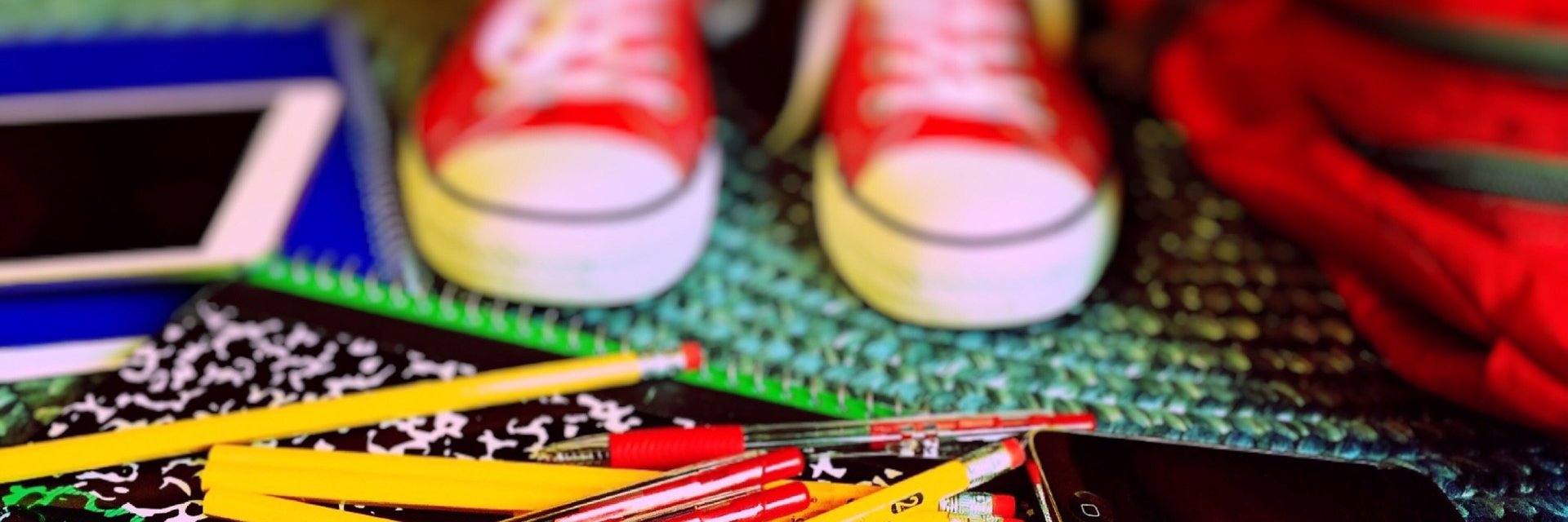 Christine Snow banner